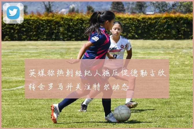 英媒称热刺经纪人施压促德勒古欣转会罗马并关注特尔动态